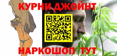 сатива Волгодонск