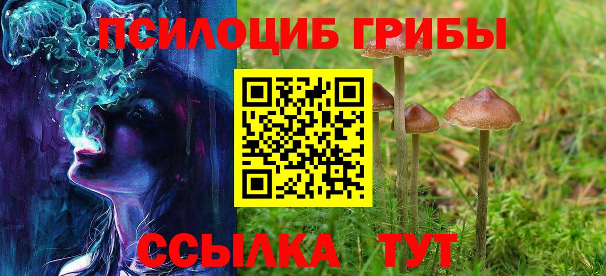 Галлюциногенные грибы Cubensis Ростов-на-Дону
